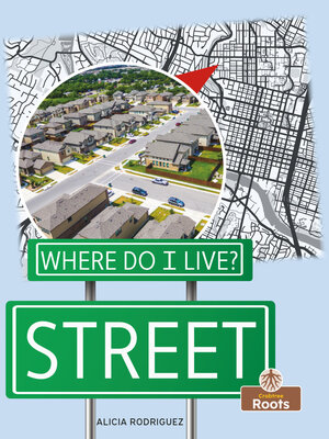 cover image of Street